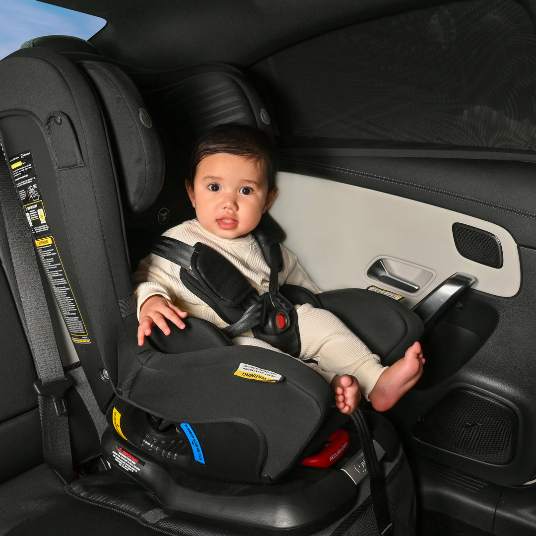 Childcare Car Fitover UV Window Shade - 2pk - Black