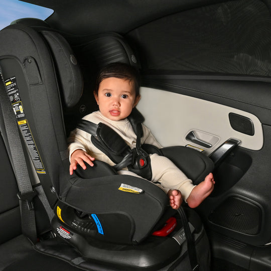 Childcare Car Fitover UV Window Shade - 2pk - Black