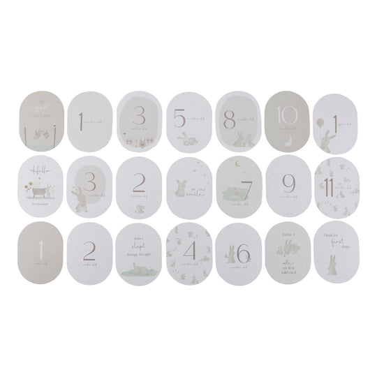 Little Dutch Baby Bunny Milestone Cards