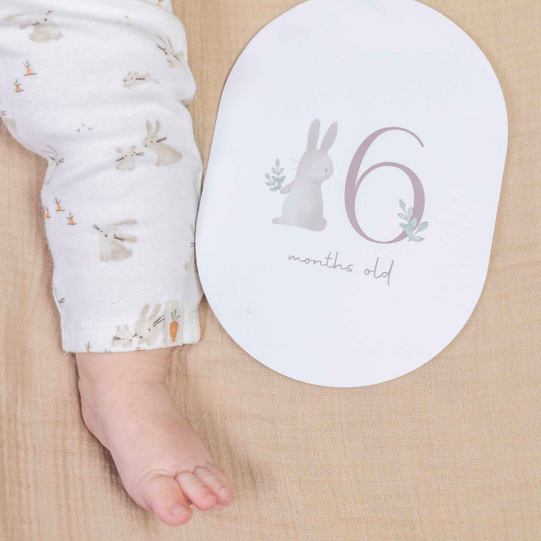 Little Dutch Baby Bunny Milestone Cards