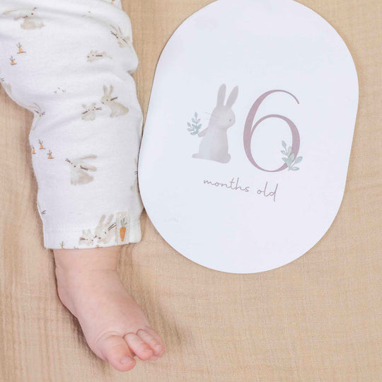 Little Dutch Baby Bunny Milestone Cards