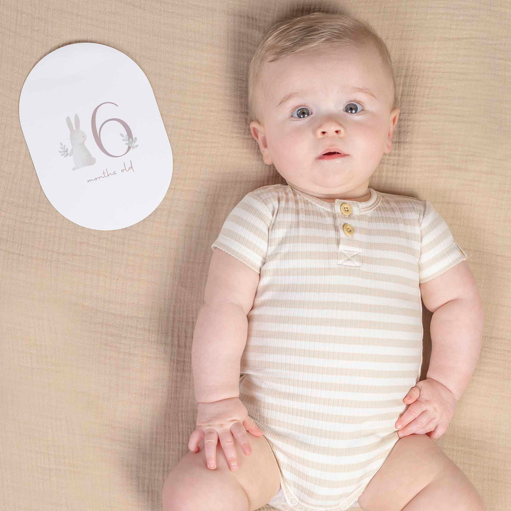 Little Dutch Baby Bunny Milestone Cards