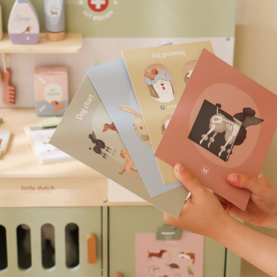 Little Dutch Vet Set