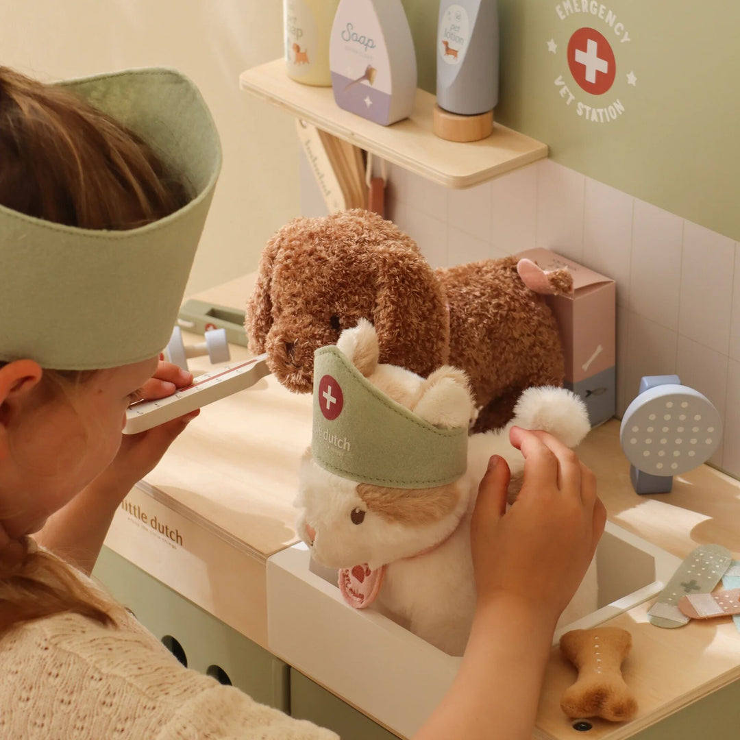 Little Dutch Vet Set