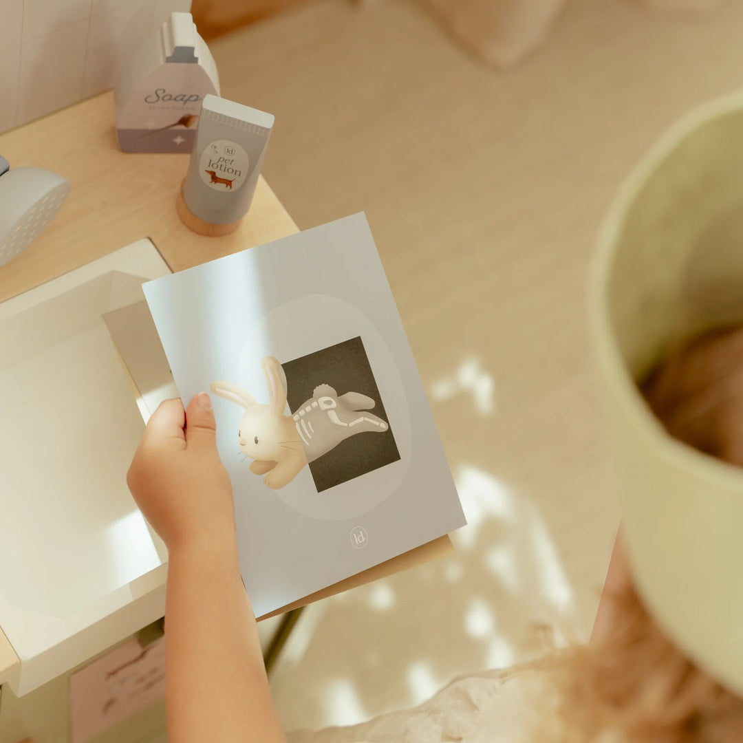 Little Dutch Vet Set