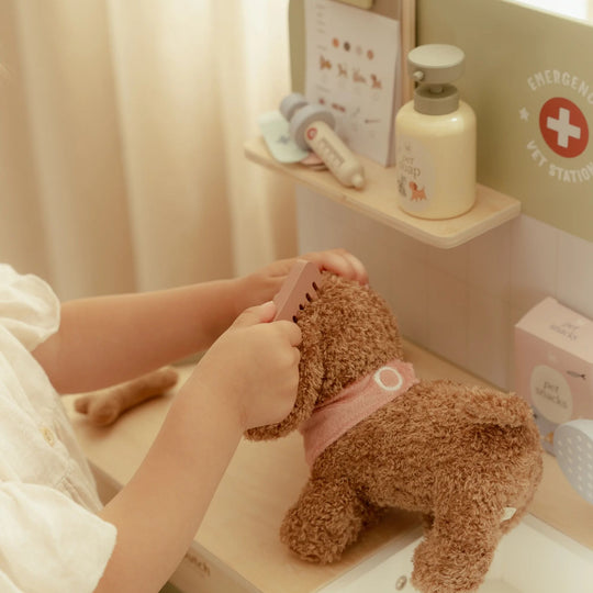 Little Dutch Vet Set