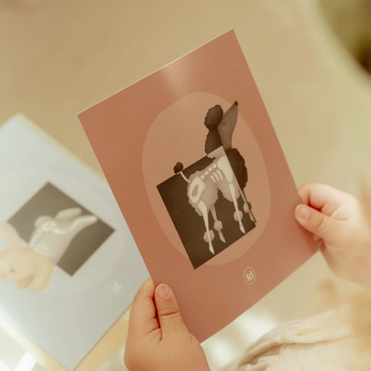 Little Dutch Vet Set