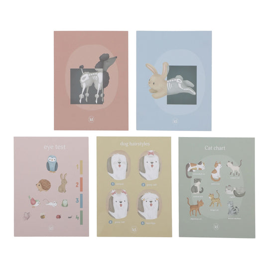 Little Dutch Vet Set