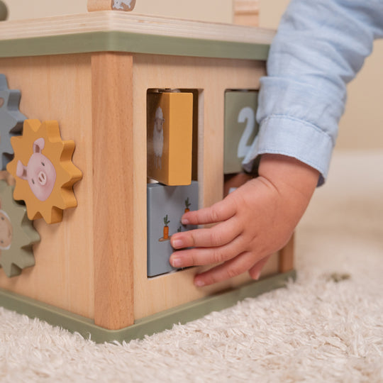 Little Farm Activity Cube