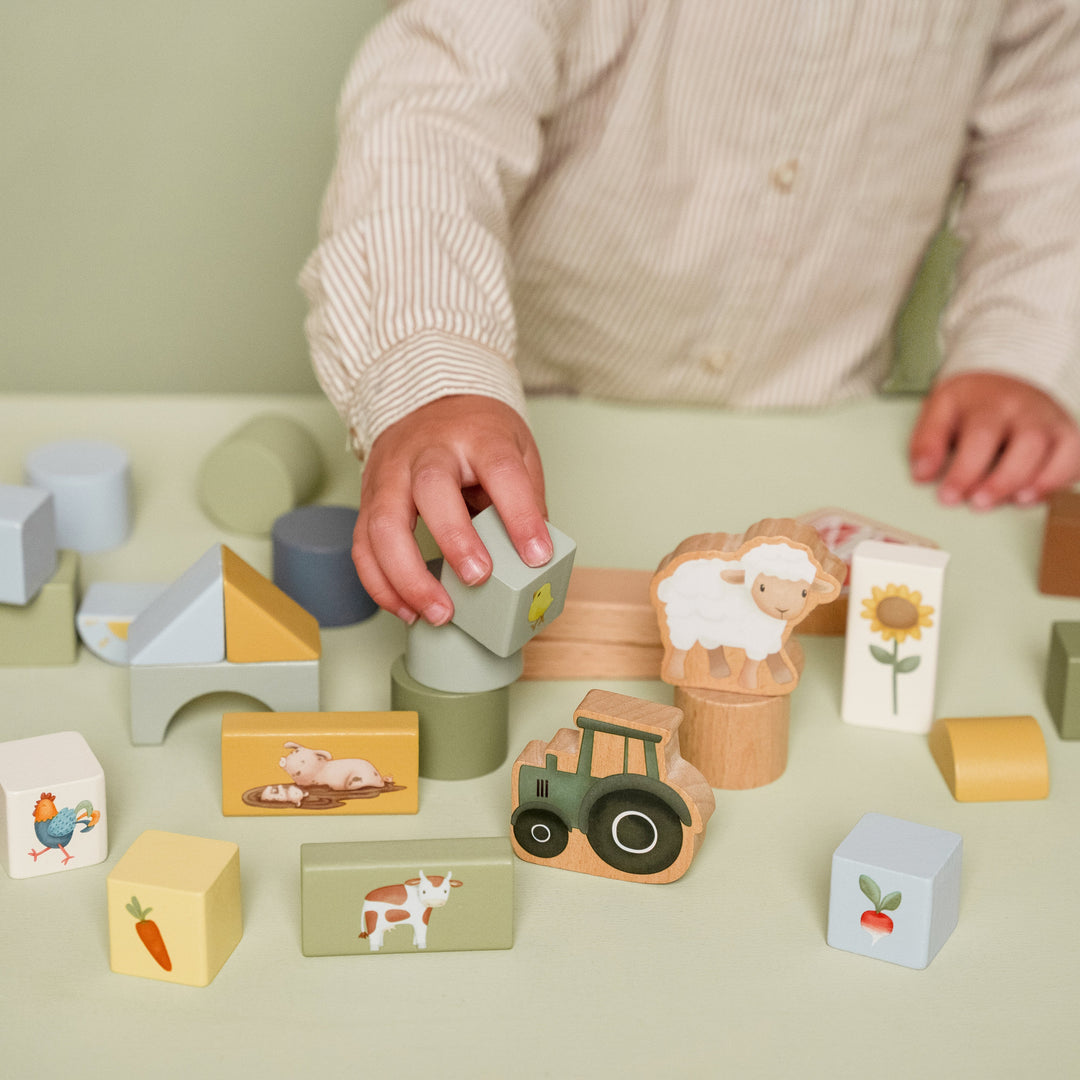 Little Farm Building Blocks