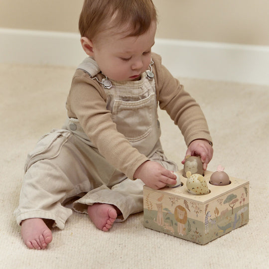 Safari Friends Wooden Pop-Up Toy