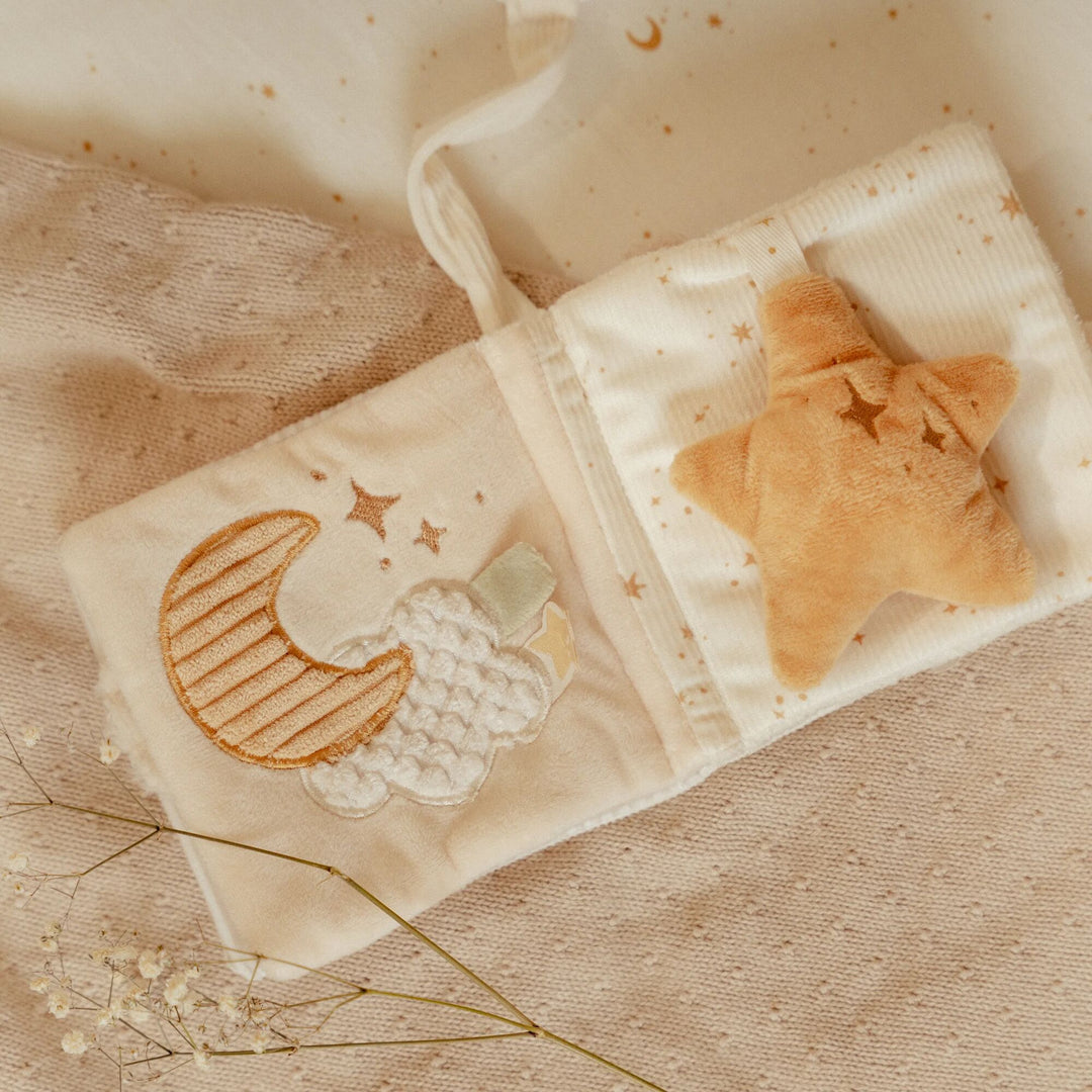 Little Dutch Goose Stroller Booklet