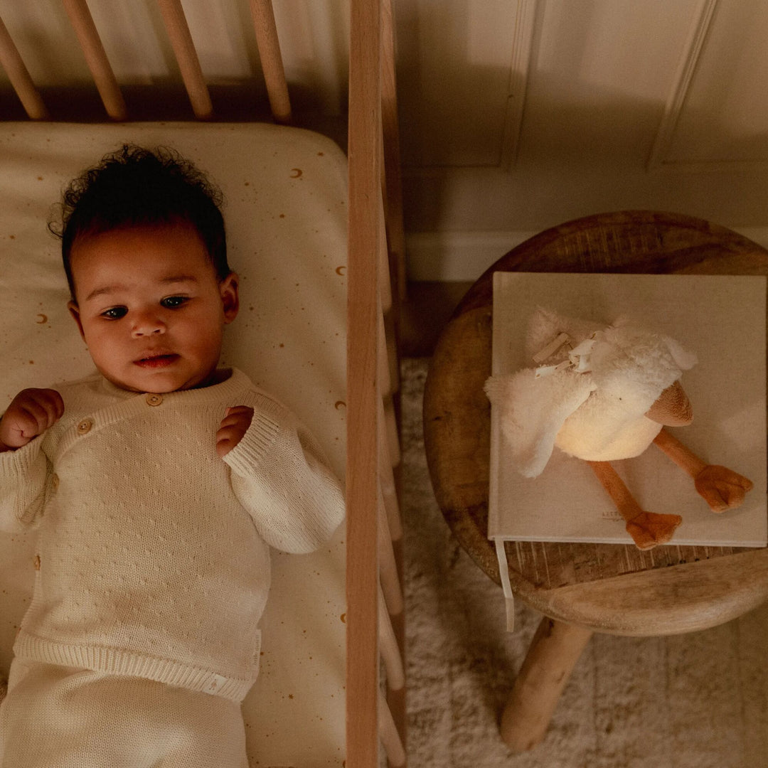 Little Dutch Newborn Naturals Cuddle Goose Light & Sound