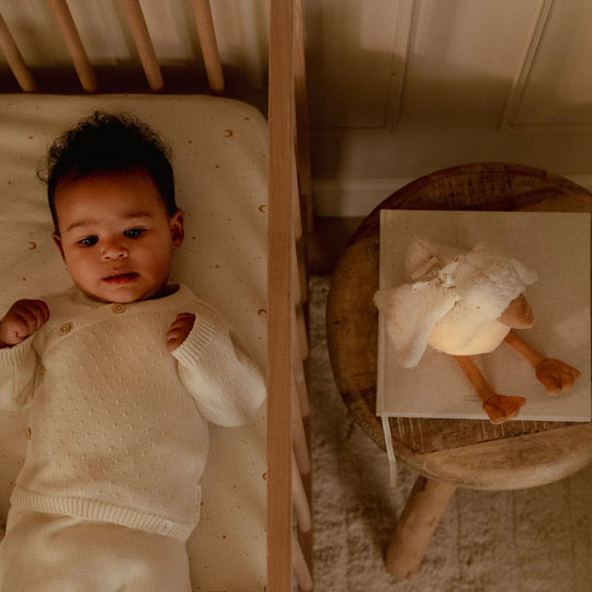 Little Dutch Newborn Naturals Cuddle Goose Light & Sound
