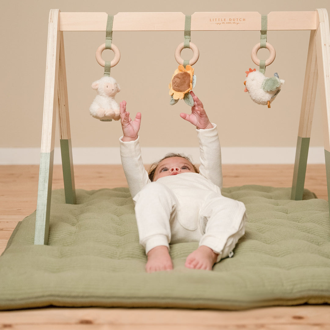 Little Farm Babygym