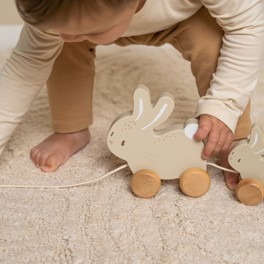 Baby Bunny Pull Along Bunnies