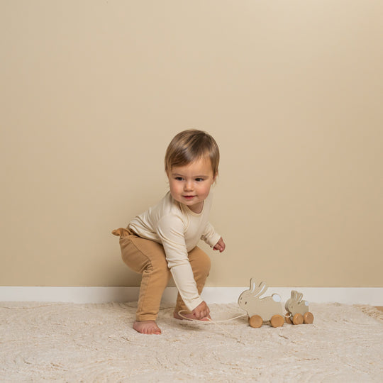 Baby Bunny Pull Along Bunnies