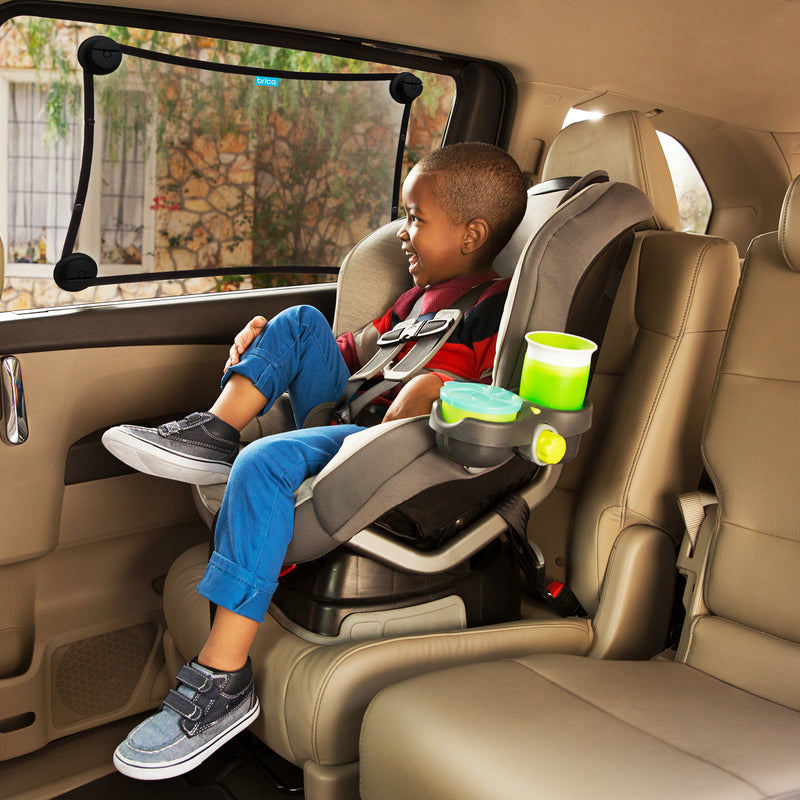 Stretch to fit deals sunshade
